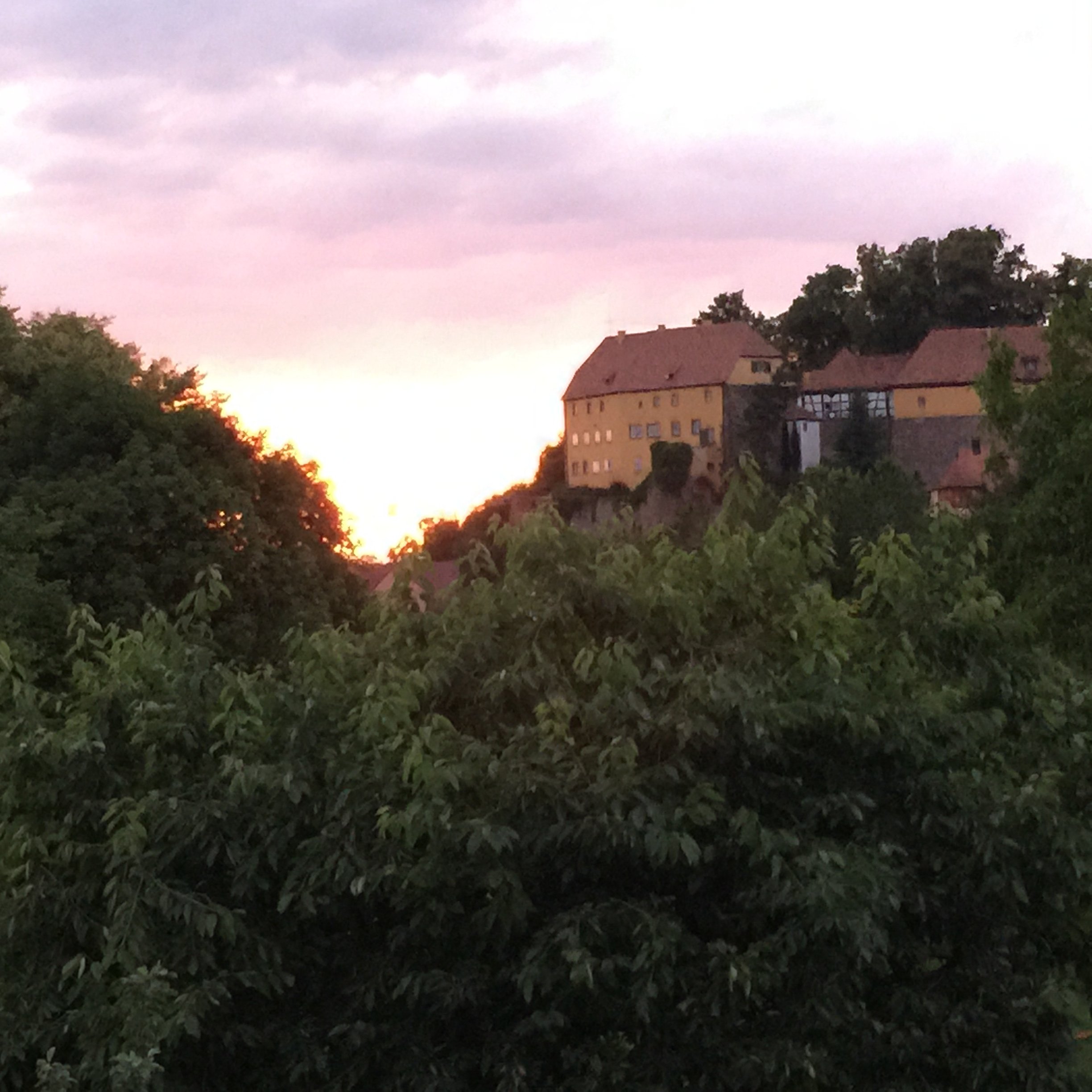 104: 0b315ad8_05c2_4977_9d0e_f9a7112e5cc4.jpeg