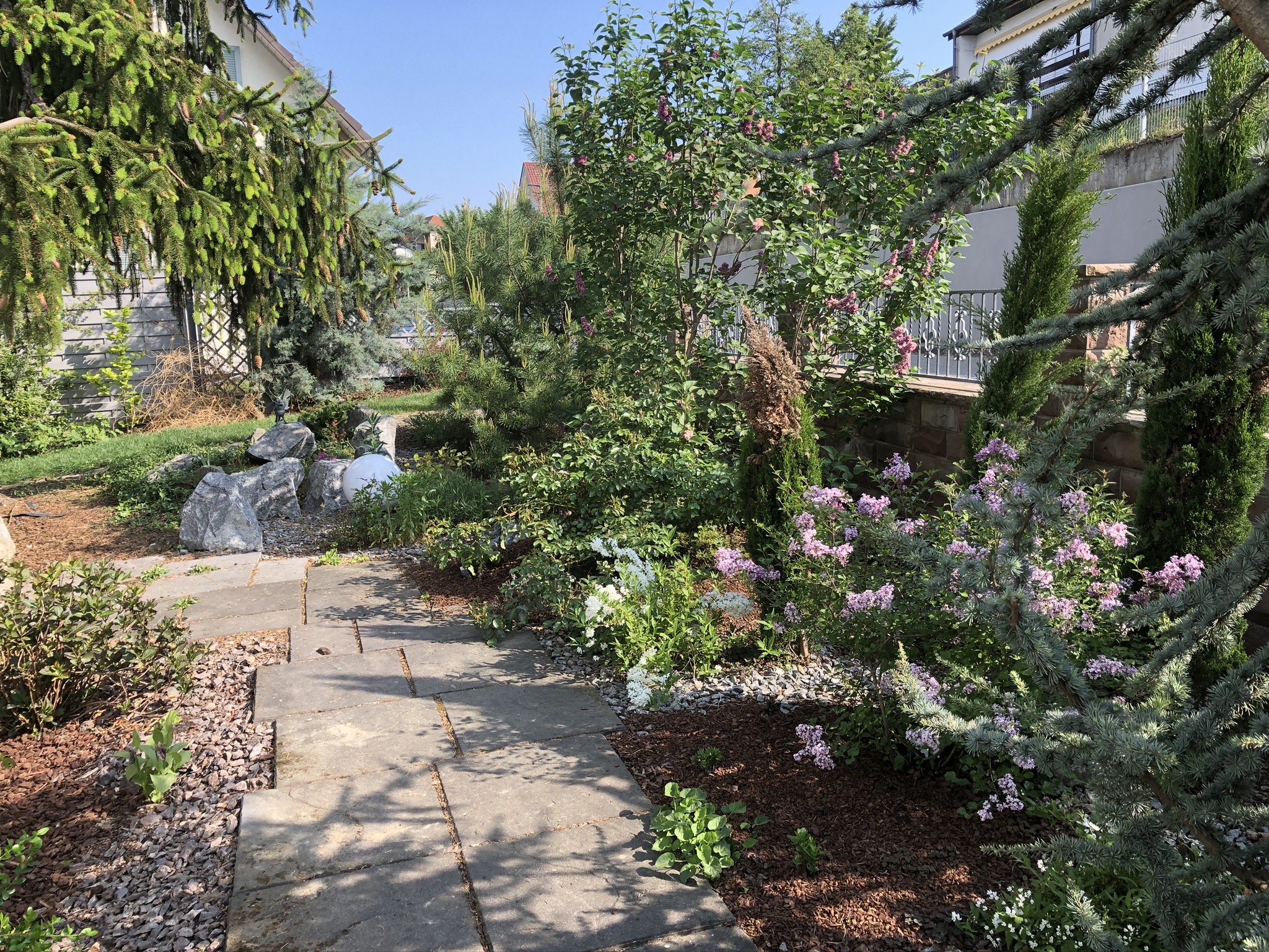 156: 649cb910_10fd_4617_bdb0_294111f775bf.jpeg