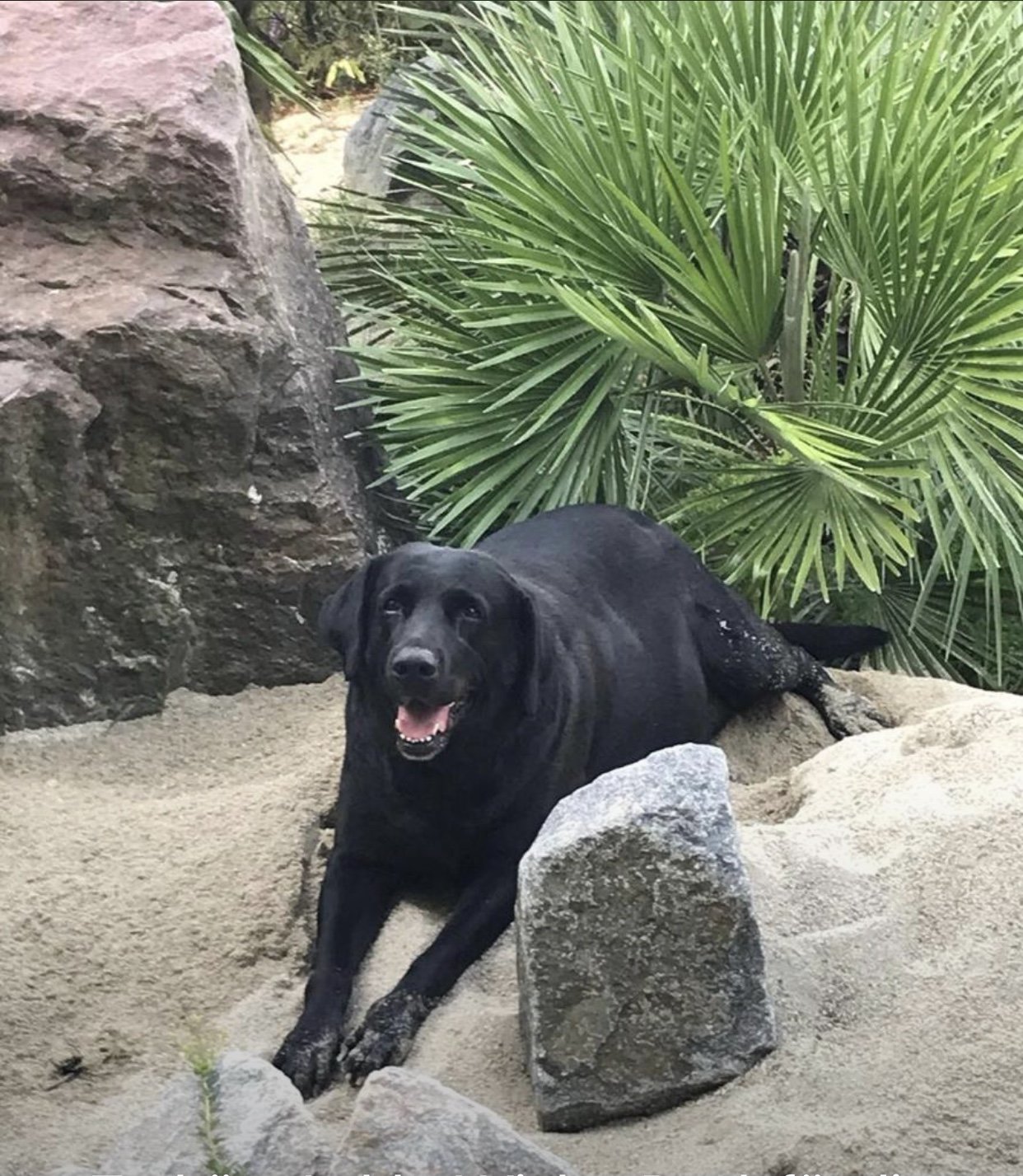 69: 9e328d47_0c9d_4713_9233_b8f19899649f.jpeg